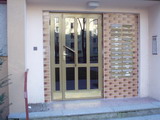 Vstupní dveře